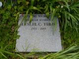 image of grave number 385956